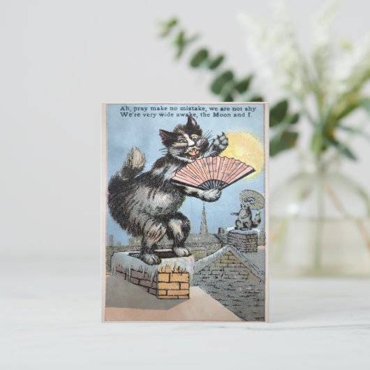  kat op het dak van het Briefkaart (Staand voorkant)