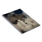 Kat op het hek (9) notitieboek (Rechterzijde)