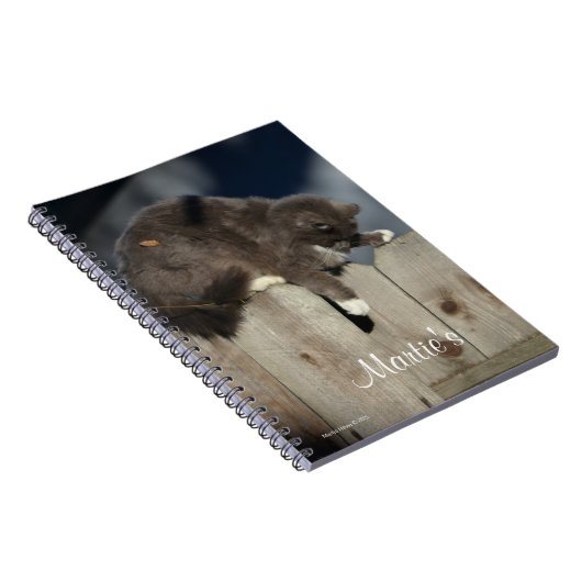 Kat op het hek (9) notitieboek (Rechterzijde)