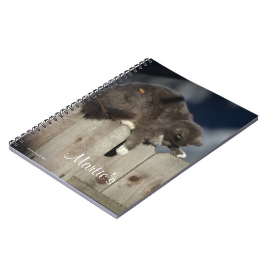 Kat op het hek (9) notitieboek (Linkerzijde)