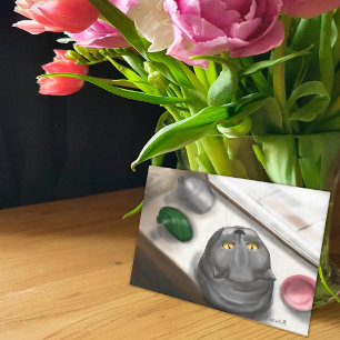 Kat op het raam briefkaart