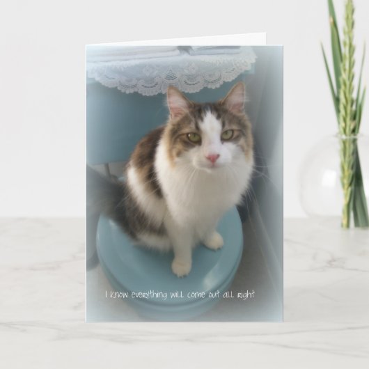 Kat op het Wenskaart van de Steun van het Toilet Kaart (Voorkant)