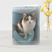 Kat op het Wenskaart van de Steun van het Toilet Kaart (Gele Bloem)