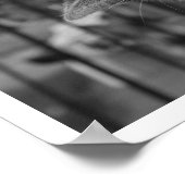 Kat op ledge Watersvogel Poster (Hoek)