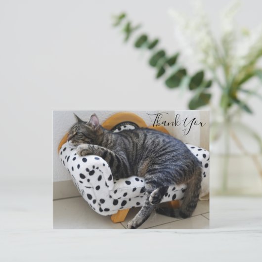 Kat op Modieuze Mini Sofa Dank u Briefkaart (Staand voorkant)