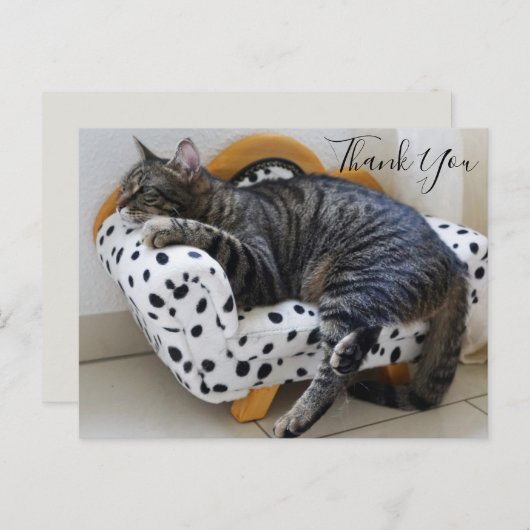 Kat op Modieuze Mini Sofa Dank u Briefkaart (Voorkant / Achterkant)