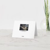 Kat op Omheining (18) Kaart (Achterkant)