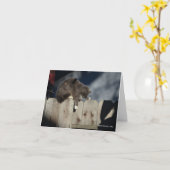 Kat op Omheining (9) Kaart (Gele Bloem)