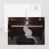 Kat op Piano Briefkaart (Voorkant / Achterkant)