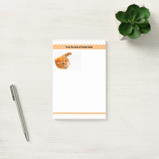 Kat op Post-it® notes (Kantoor)