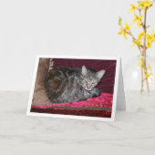 Kat op Rode Kussens Kaart (Gele Bloem)