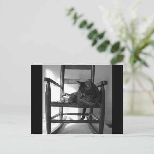 Kat op rotsen briefkaart (Staand voorkant)