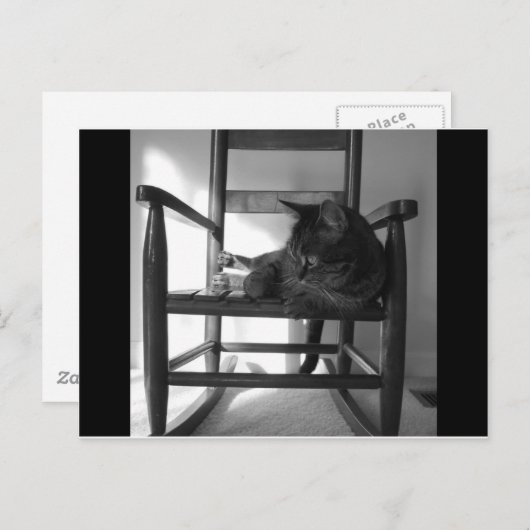 Kat op rotsen briefkaart (Voorkant / Achterkant)