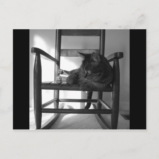 Kat op rotsen briefkaart (Voorkant)