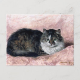 Kat op Roze Pillow door Henriëtte Ronner-Knip Briefkaart