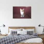 Kat op sofa canvas afdruk (Insitu (Slaapkamer))