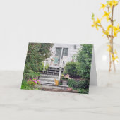 Kat op stappen kaart (Gele Bloem)