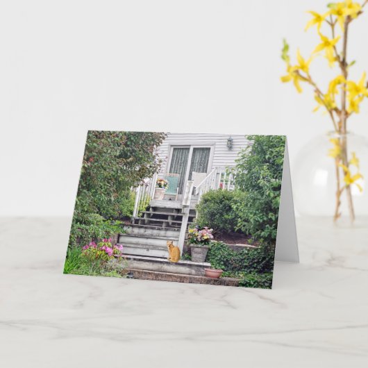 Kat op stappen kaart (Gele Bloem)