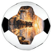 Kat op steiger bij zonsondergang voetbal (Gedraaid)