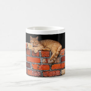 Kat op stenen muur koffiemok