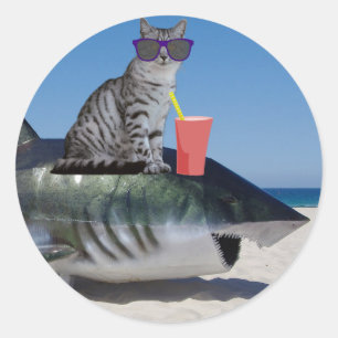 KAT OP STRAND HAAI RONDE STICKER