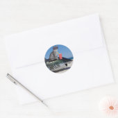 KAT OP STRAND HAAI RONDE STICKER (Envelop)