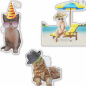 Kat op strand sticker (Voorkant)