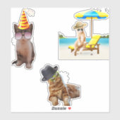 Kat op strand sticker (Vel)