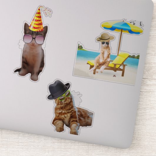 Kat op strand sticker (Detail)