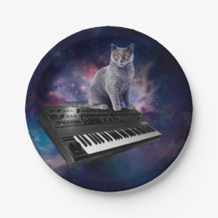 Kat op synthesizer in de ruimte papieren bordje