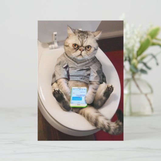 Kat op toilet kaart (Staand voorkant)