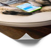 Kat op toilet poster (Hoek)