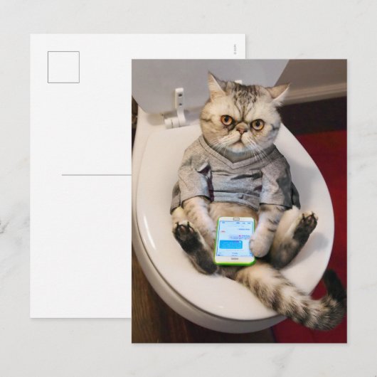 Kat op toilet uitnodiging briefkaart (Voorkant / Achterkant)