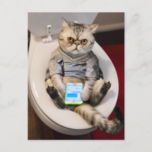 Kat op toilet uitnodiging briefkaart (Voorkant)