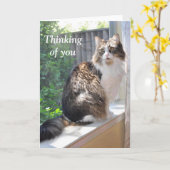 Kat op vensterbankkaart kaart (Gele Bloem)