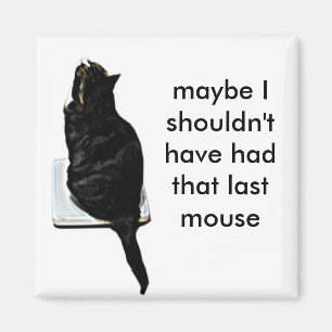 Kat op weegschaal magneet