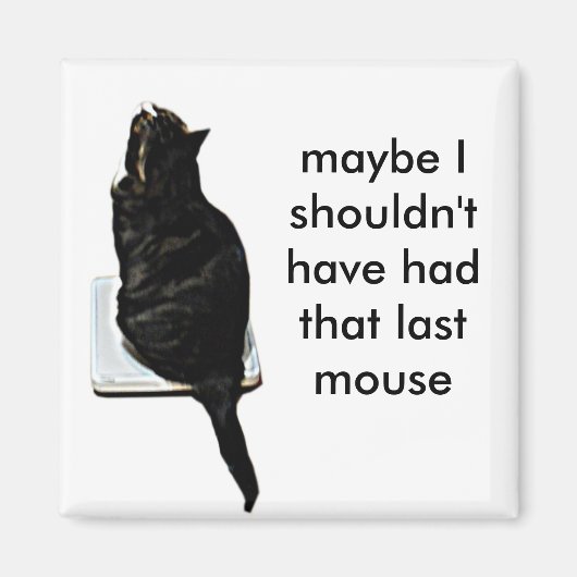 Kat op weegschaal magneet (Voorkant)