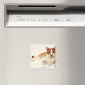 Kat op witte achtergrond magneet (Insitu (Vaatwasser))