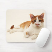 Kat op witte achtergrond muismat (Met muis)