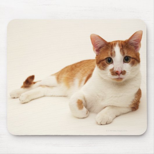 Kat op witte achtergrond muismat (Voorkant)