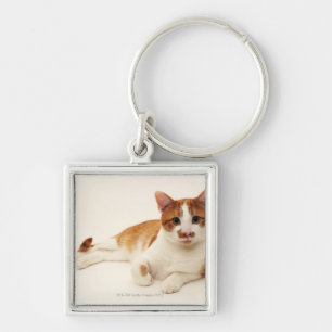 Kat op witte achtergrond sleutelhanger