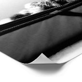 Kat op zak poster (Hoek)