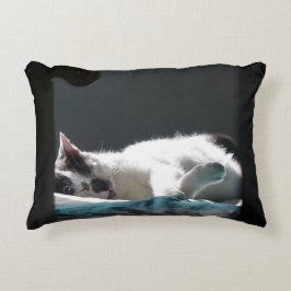 Kat op zonsondergang stoort niet accent kussen