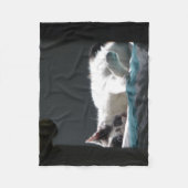 Kat op zonsondergang stoort niet fleece deken (Voorkant)
