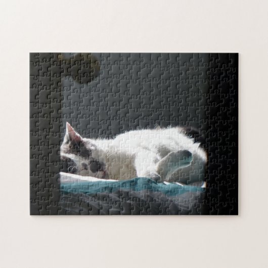 Kat op zonsondergang stoort niet legpuzzel (Horizontaal)