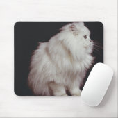 Kat op zwarte achtergrond, close-up muismat (Met muis)
