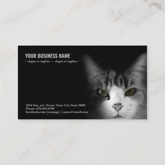 Kat op zwarte achtergrond visitekaartje (Achterkant)
