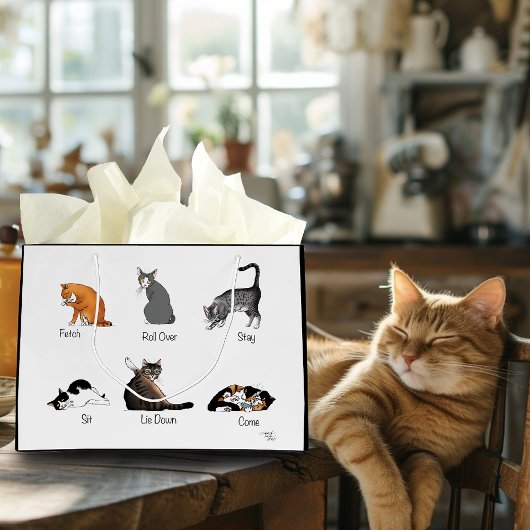 Kat Opdrachten Groot Cadeauzakje
