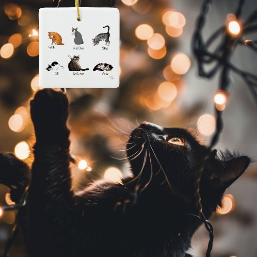 Kat Opdrachten Keramisch Ornament