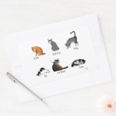 Kat Opdrachten Rechthoekige Sticker (Envelop)